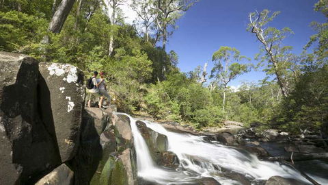 Barrington Tops National Park - SA Accommodation 2