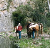 Yarramba Horse Riding - SA Accommodation