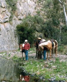 Yarramba Horse Riding - SA Accommodation 0
