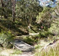 Wollomombi walking track - SA Accommodation