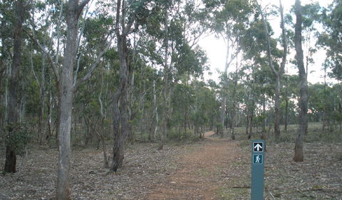 Green Track - SA Accommodation 0
