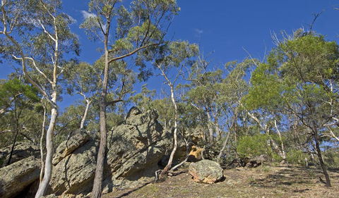 Green Track - SA Accommodation 2
