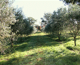 Langdale Farm - SA Accommodation