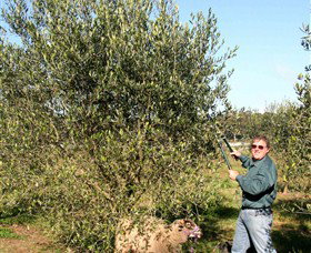 Langdale Farm - SA Accommodation 3