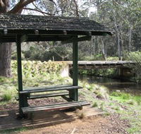 Barrington Tops State Forest - SA Accommodation