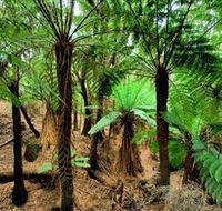 Pegarah Private Nature Reserve  Parenna Place - SA Accommodation