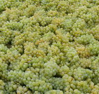 Normanby Wines - SA Accommodation