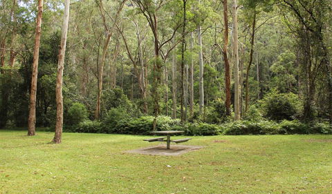 Mill Creek Picnic Area - SA Accommodation 1