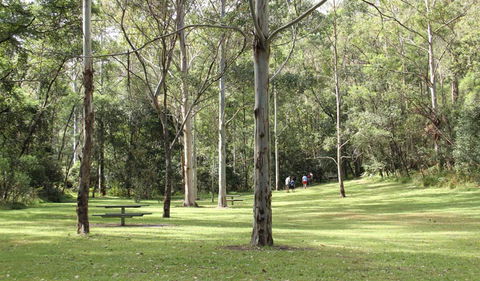 Mill Creek Picnic Area - SA Accommodation 3