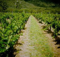 Gartelmann Wines - SA Accommodation