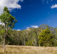 Brush Turkey track - SA Accommodation
