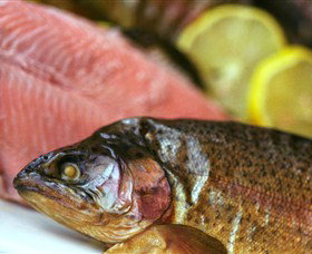 Lovedale Smokehouse Gourmet Pantry, Cafe And Masterclasses - SA Accommodation 0