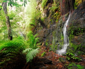 Fairy Bower Falls - SA Accommodation 0