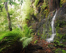 Fairy Bower Falls - SA Accommodation 2