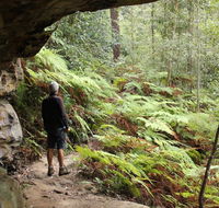 Dharug National Park - SA Accommodation