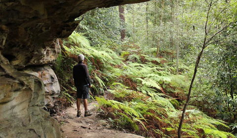Dharug National Park - SA Accommodation 0