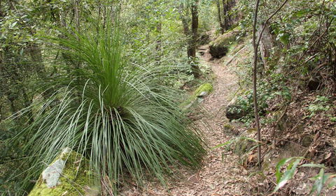 Dharug National Park - SA Accommodation 2