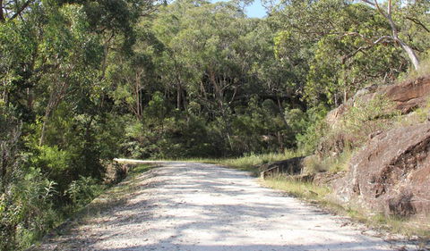 Dharug National Park - SA Accommodation 1