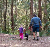 Olney State Forest - Watagan Mountains - SA Accommodation