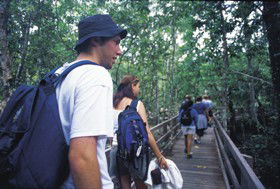 Delaneys Creek QLD SA Accommodation