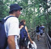 Bellthorpe National Park - SA Accommodation
