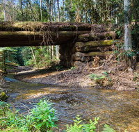 Myrtle Scrub scenic drive - SA Accommodation