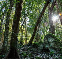 Copeland Tops State Conservation Area - SA Accommodation
