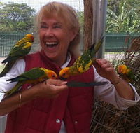 Maleny Botanic Gardens  Bird World - SA Accommodation