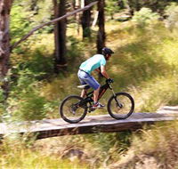 The Steps Mountain Bike Park - SA Accommodation