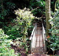 Richmond Range National Park - SA Accommodation