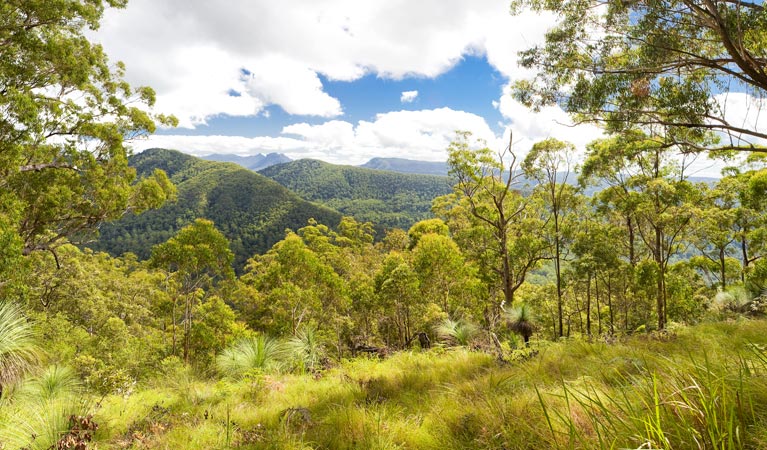Roseberry Creek ACT SA Accommodation