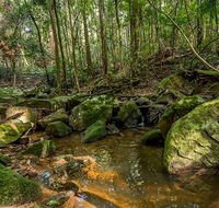 Palm Grove Nature Reserve - SA Accommodation