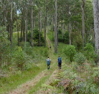 The Green Gully track - SA Accommodation