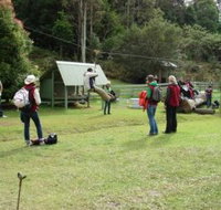 Forest of Tranquillity - Australian Rainforest Sanctuary - SA Accommodation