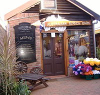 Australian Alpaca Barn - Morpeth - SA Accommodation