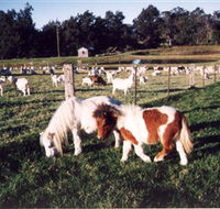 Trudgalong Farm - SA Accommodation
