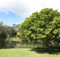 Hervey Bay Botanic Gardens - SA Accommodation