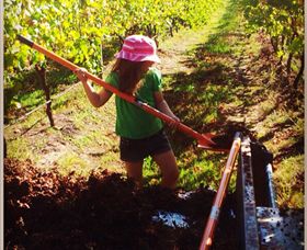 East Gippsland Wines - SA Accommodation 5