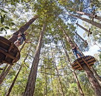 TreeTop Adventure Park Central Coast - SA Accommodation