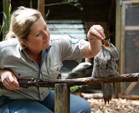 Walkabout Creek - SA Accommodation 0