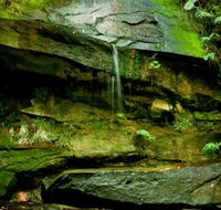 Strickland State Forest - SA Accommodation