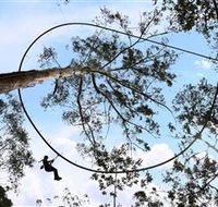 TreeTops Crazy Rider - SA Accommodation