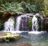 Barrington Tops National Park Walks - SA Accommodation