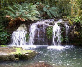 Barrington Tops National Park Walks - SA Accommodation 0