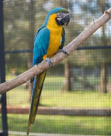 Amazement Farm And Fun Park / Cafe And Farmstay Accommodation - SA Accommodation 8