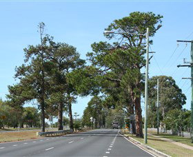 Anzac Memorial Avenue, Redcliffe - SA Accommodation 2
