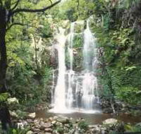Budderoo National Park - The Falls Walk - SA Accommodation
