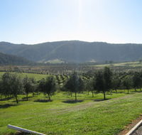 Hastings Valley Olives - SA Accommodation