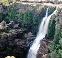 Minnamurra Rainforest Centre Budderoo National Park - SA Accommodation