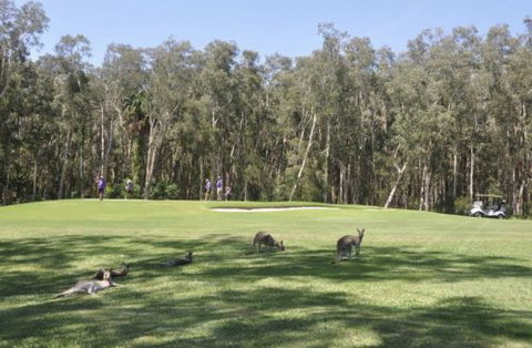 Emerald Downs Golf Course - SA Accommodation 4